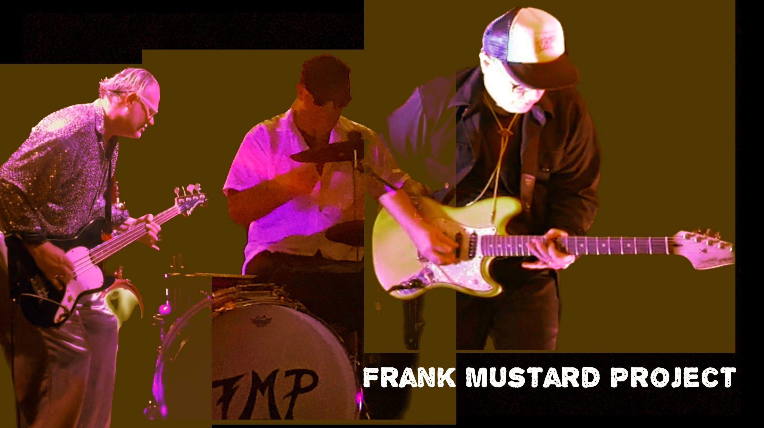 Frank Mustard Project